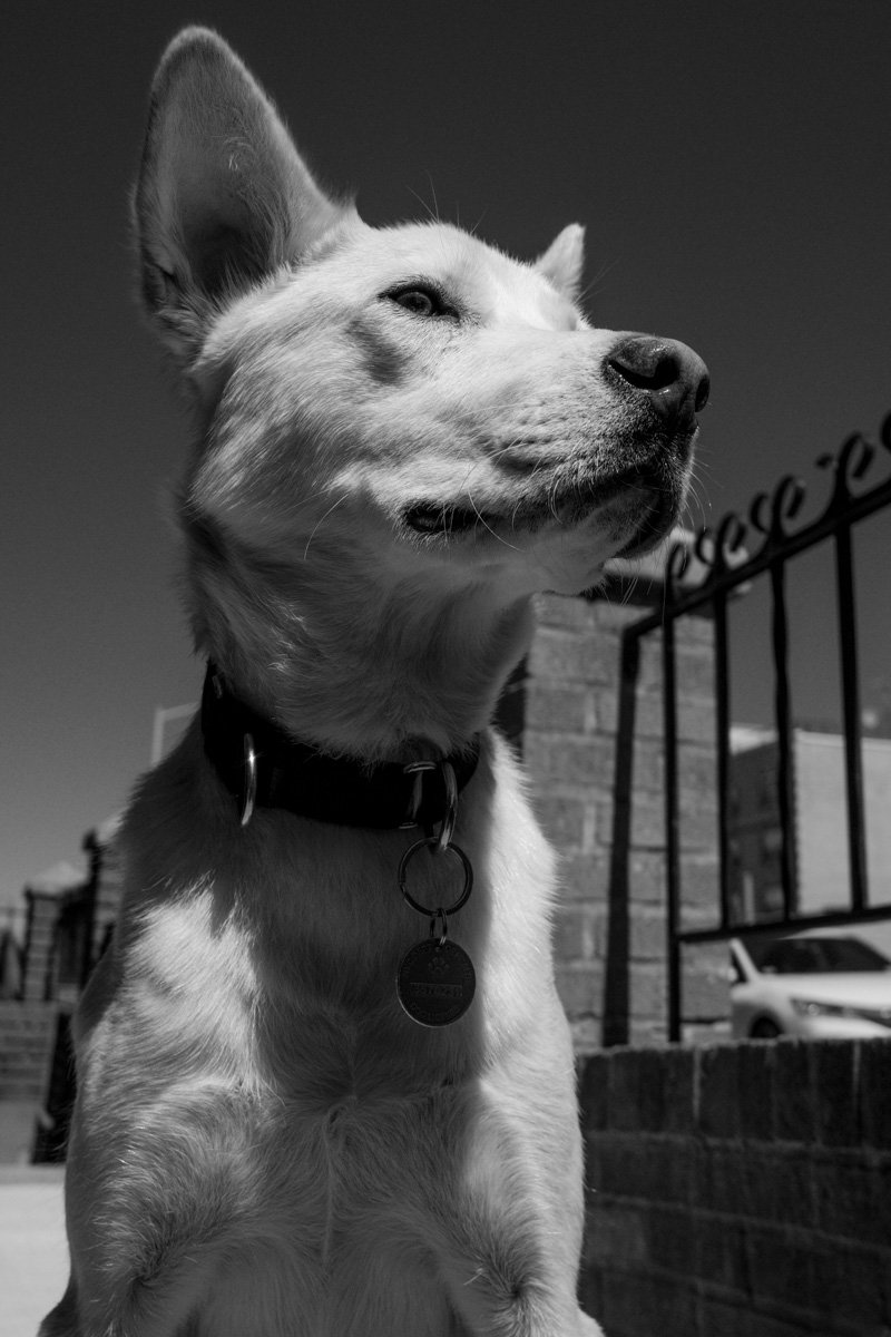 B&W