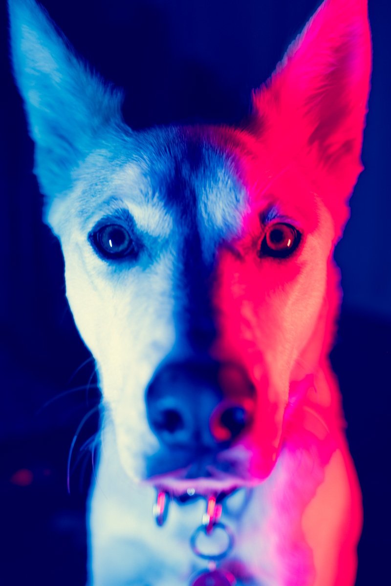 Stylized