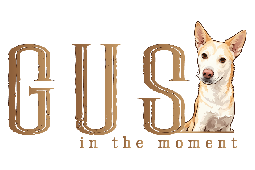 Gus in the Moment